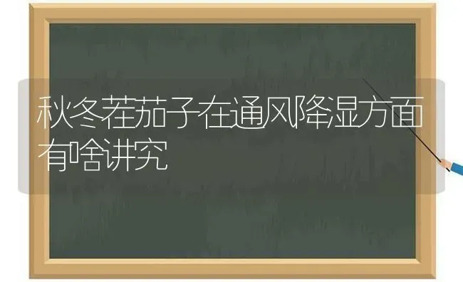 秋冬茬茄子在通风降湿方面有啥讲究 | 蔬菜种植