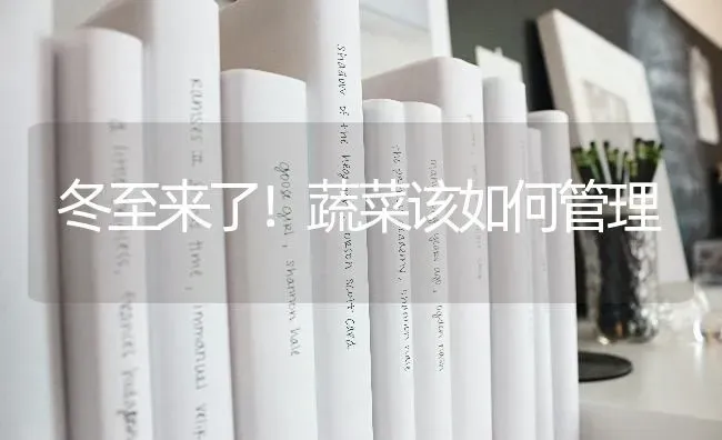 冬至来了！蔬菜该如何管理 | 蔬菜种植