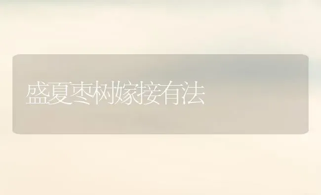 盛夏枣树嫁接有法 | 瓜果种植