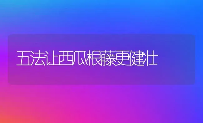 五法让西瓜根藤更健壮 | 瓜果种植