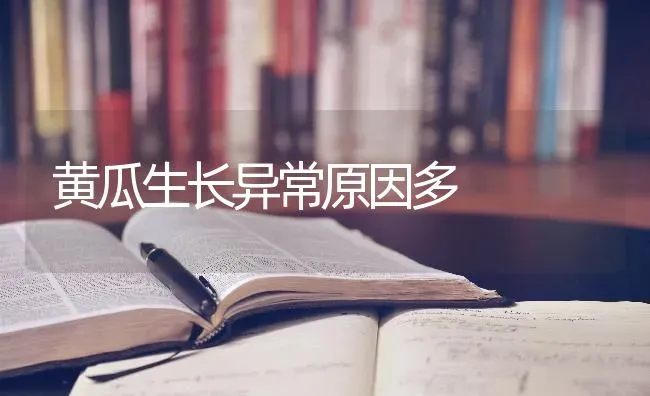黄瓜生长异常原因多 | 蔬菜种植