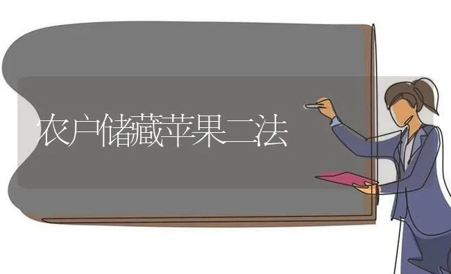 农户储藏苹果二法 | 瓜果种植