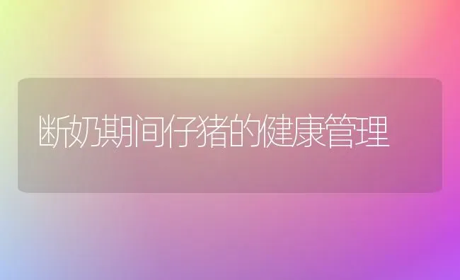 白菜不包心怎么办？ | 蔬菜种植