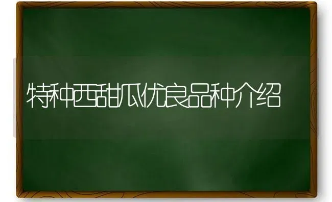 特种西甜瓜优良品种介绍 | 瓜果种植