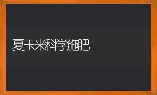 夏玉米科学施肥 | 种植肥料施肥