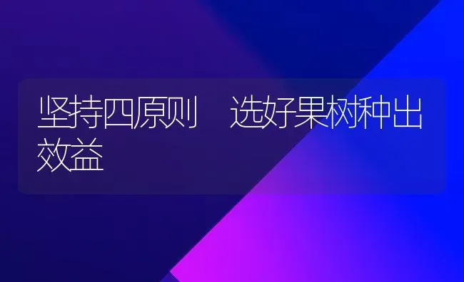 坚持四原则 选好果树种出效益 | 瓜果种植