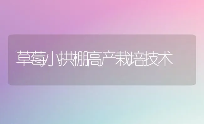 草莓小拱棚高产栽培技术 | 瓜果种植