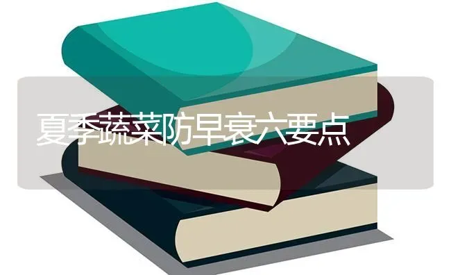 夏季蔬菜防早衰六要点 | 蔬菜种植