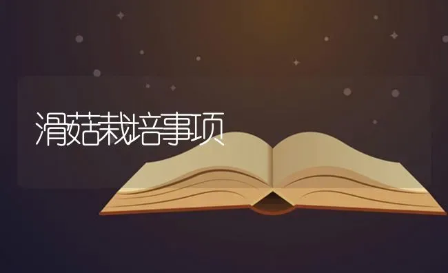 滑菇栽培事项 | 食用菌种植