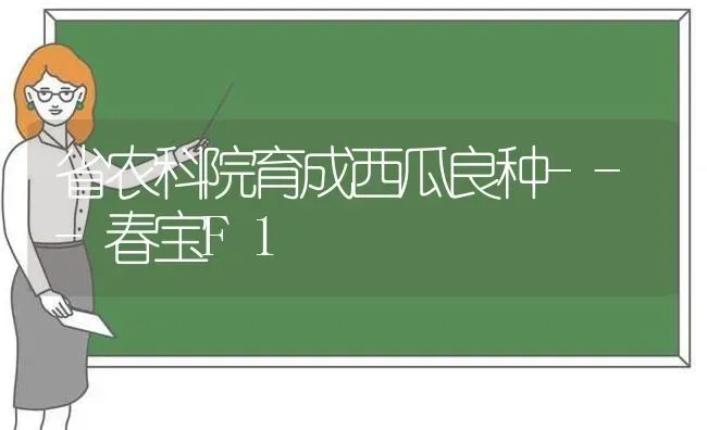 省农科院育成西瓜良种---春宝F1 | 瓜果种植