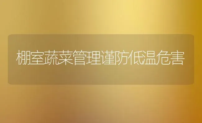 棚室蔬菜管理谨防低温危害 | 蔬菜种植