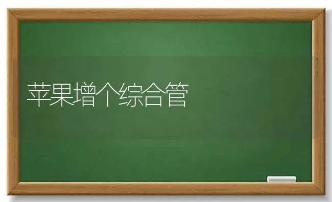 苹果增个综合管 | 瓜果种植
