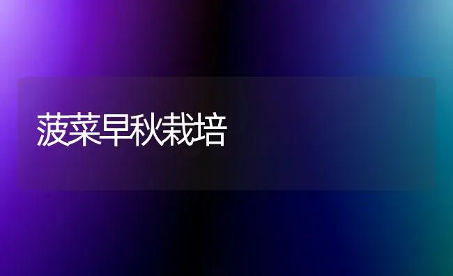 菠菜早秋栽培 | 蔬菜种植