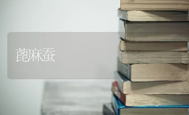 蓖麻蚕 | 粮油作物种植