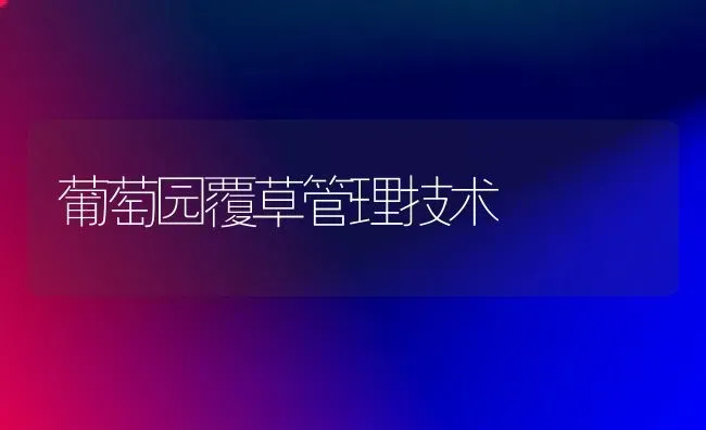 葡萄园覆草管理技术 | 瓜果种植