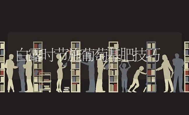 白露时节施葡萄基肥技巧 | 瓜果种植