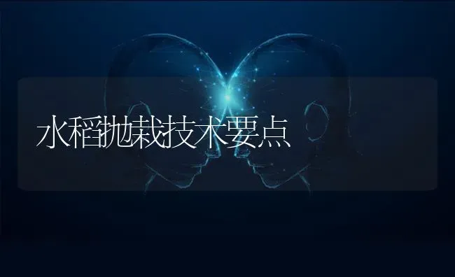 水稻抛栽技术要点 | 粮油作物种植