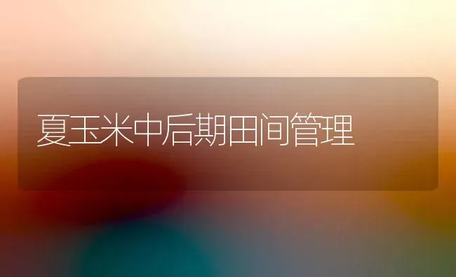 夏玉米中后期田间管理 | 粮油作物种植