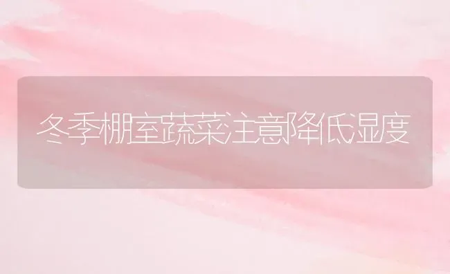 冬季棚室蔬菜注意降低湿度 | 蔬菜种植