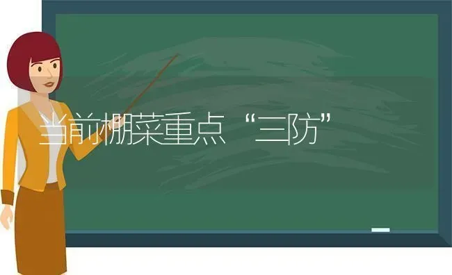 当前棚菜重点“三防” | 蔬菜种植