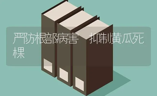 严防根部病害 抑制黄瓜死棵 | 蔬菜种植