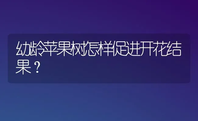 幼龄苹果树怎样促进开花结果？ | 瓜果种植