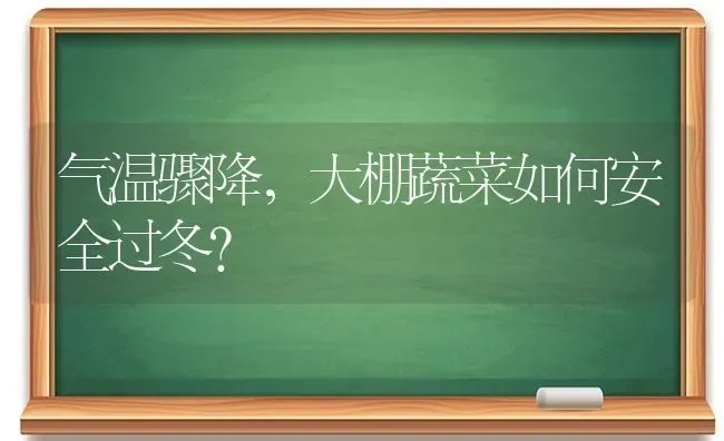 气温骤降，大棚蔬菜如何安全过冬？ | 蔬菜种植