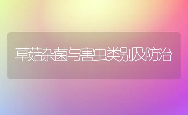 草菇杂菌与害虫类别及防治 | 食用菌种植