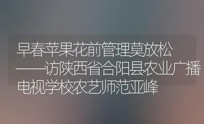 早春苹果花前管理莫放松 ——访陕西省合阳县农业广播电视学校农艺师范亚峰 | 瓜果种植