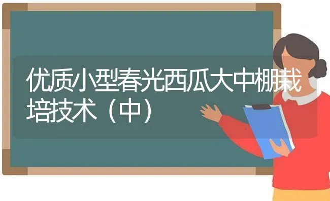 优质小型春光西瓜大中棚栽培技术（中） | 瓜果种植