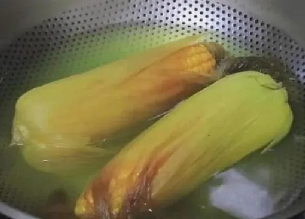 植物浇水|玉米水能浇花吗