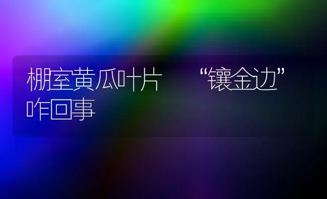 棚室黄瓜叶片 “镶金边”咋回事 | 蔬菜种植