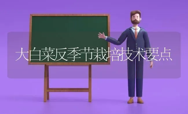 大白菜反季节栽培技术要点 | 蔬菜种植
