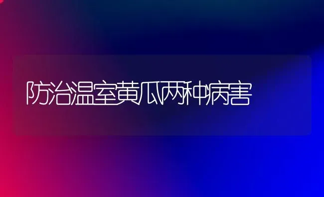 防治温室黄瓜两种病害 | 蔬菜种植