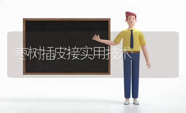 枣树插皮接实用技术 | 瓜果种植