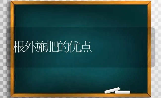 根外施肥的优点 | 种植肥料施肥