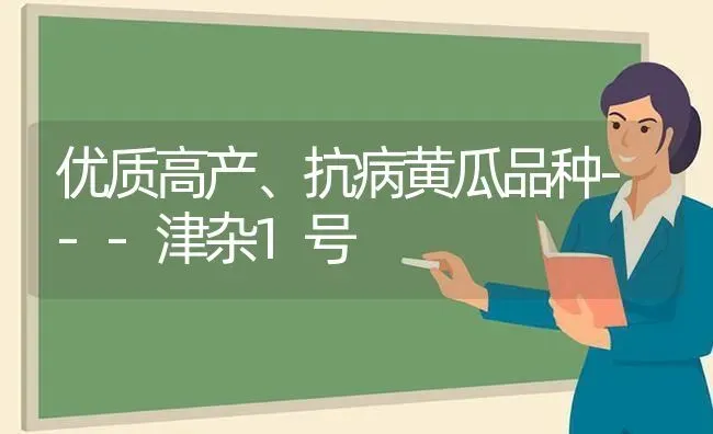 优质高产、抗病黄瓜品种---津杂1号 | 蔬菜种植