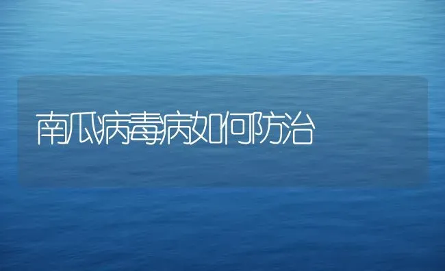 南瓜病毒病如何防治 | 蔬菜种植