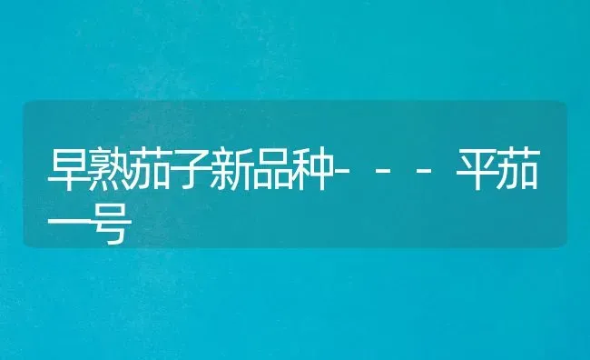 早熟茄子新品种---平茄一号 | 蔬菜种植