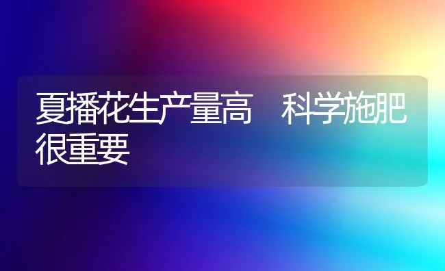 夏播花生产量高　科学施肥很重要 | 种植肥料施肥