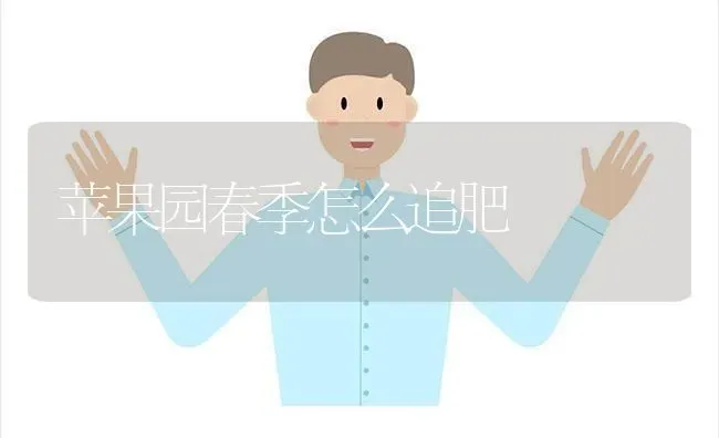 苹果园春季怎么追肥 | 瓜果种植