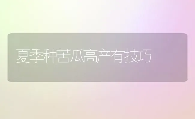 夏季种苦瓜高产有技巧 | 蔬菜种植