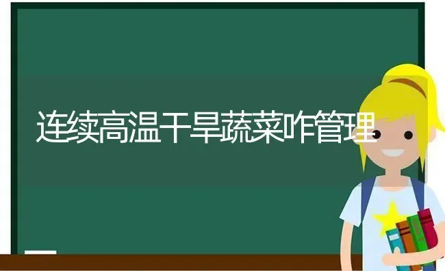 连续高温干旱蔬菜咋管理 | 蔬菜种植