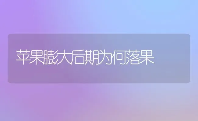 苹果膨大后期为何落果 | 瓜果种植