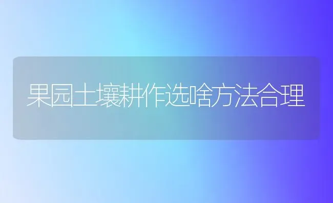 果园土壤耕作选啥方法合理 | 瓜果种植