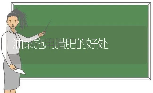 油菜施用腊肥的好处 | 粮油作物种植