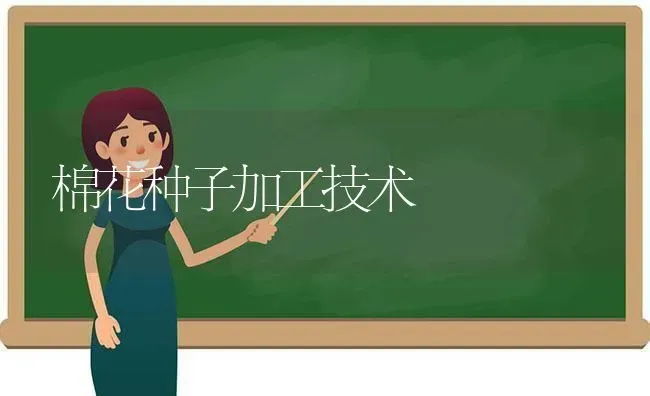 棉花种子加工技术 | 粮油作物种植