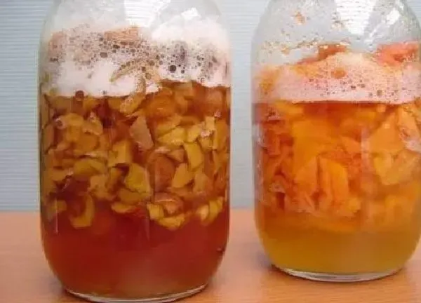 植物浇水|橘皮酵素可以浇多肉吗