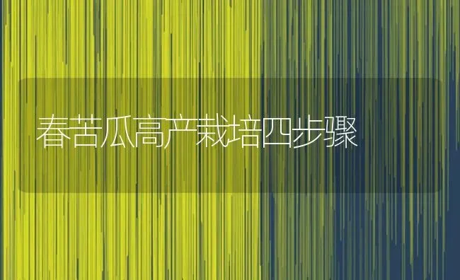 春苦瓜高产栽培四步骤 | 蔬菜种植