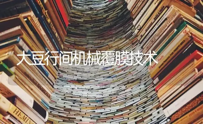 大豆行间机械覆膜技术 | 粮油作物种植
